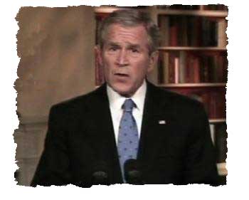Bush on TV